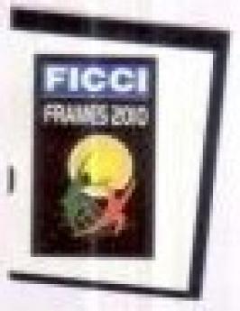 FICCI FRAMES 2010